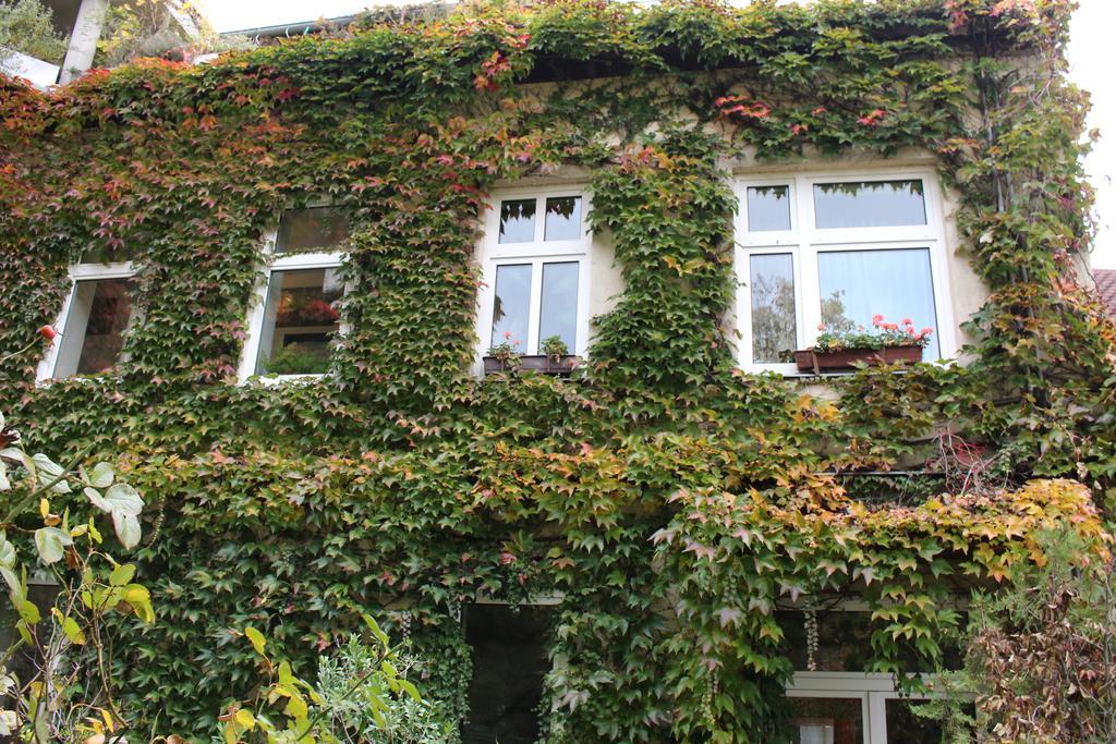 Hotel Wiener Kindl Екстер'єр фото